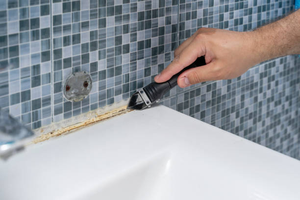 Best Certified Mold Removal  in Coker, AL